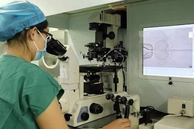 试管婴儿费用报销：哪些项目可享条件红利？