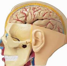 去泰国三代试管婴儿费用贵不贵？