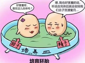 55岁做试管成功案例分析，子宫内环境良好是其一条件