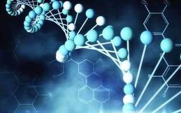 试管婴儿助孕管理制度？