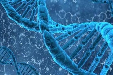 三代试管婴儿技术优秀医院专业推荐榜单