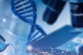 上海试管排名第一的私立医院推荐，为什么这家医院值得信赖？