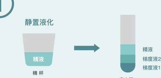 子宫肌瘤去泉州市妇幼做三代试管需要花费多少钱？费用明细是怎么样的？